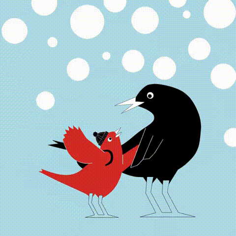 MERLI NELLA NEVE