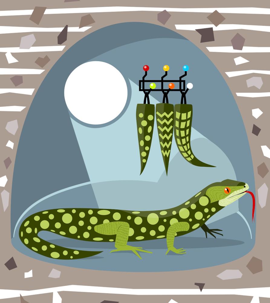 CASE DI ANIMALI