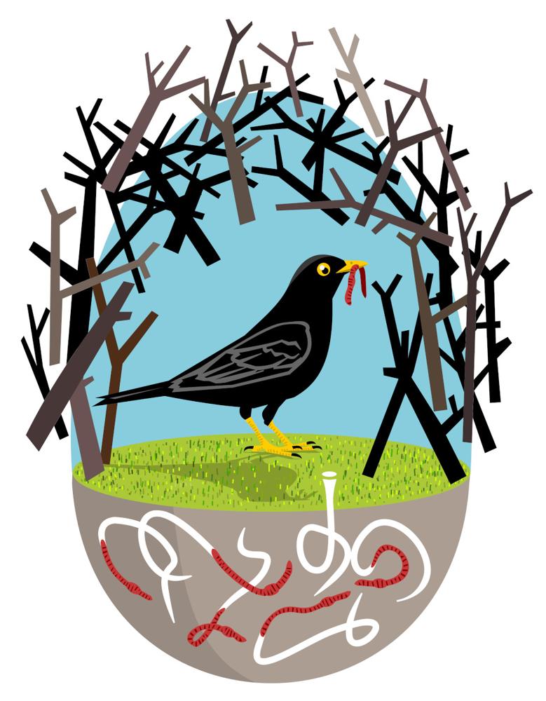 CASE DI ANIMALI