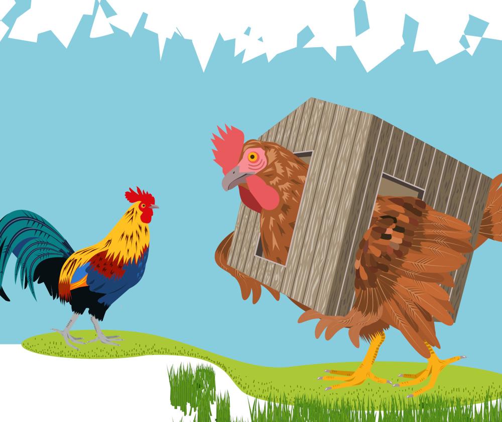 CASE DI ANIMALI